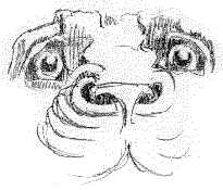 [Sketch of gargoyle face, 13k GIF]